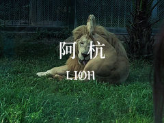-广州动物园