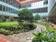-香港大学