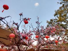 -翠湖公园