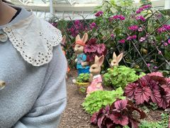 -石家庄市植物园