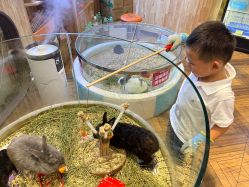 -卡通尼·Safari非洲探索乐园·生日会(金桥国际商业广场店)