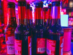 -周庄红庭演艺酒吧