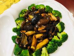 -老诚一锅羊蝎子(垡头店)