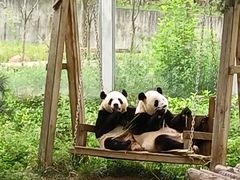 -西安秦岭野生动物园