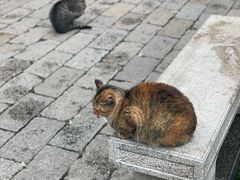 -万福兴糕团(万福兴山塘街直营店)