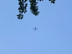 -燕郊植物园