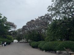 -千佛山风景名胜区