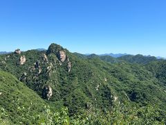 -大岭沟猕猴桃谷风景区