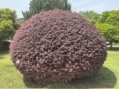 -浙江省博物馆(孤山馆区)