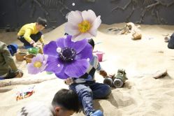 -恐龙探索乐园(磁器口店)