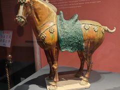 -陕西历史博物馆