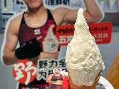 -野人先生现做冰淇淋(北京悠唐购物中心店)