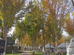 -九十九顶毡房(阜石路店)