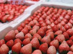 -大观篆新农贸市场