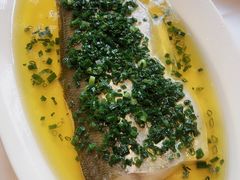 葱油蒸白水鱼-玫瑰厅上海菜(兴国路店)