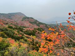 -十三陵水库