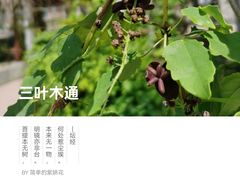 -国家植物园南园