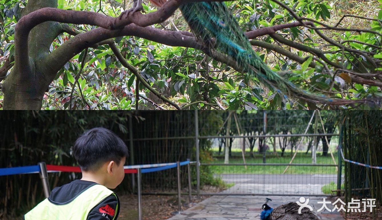 人生第一次 春游大作战