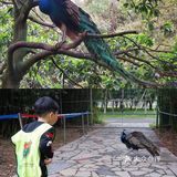 人生第一次 春游大作战