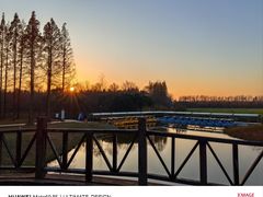 -黄海国家森林公园