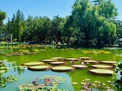 -国家植物园南园
