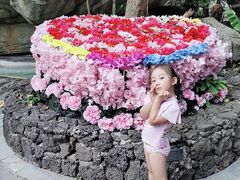 -海口观澜湖火山温泉谷