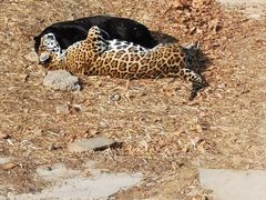 -石家庄市动物园