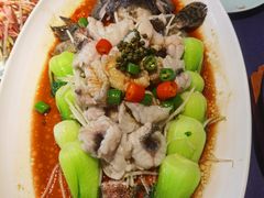 清蒸龙趸鱼-维园悦谱·海派家常菜(乌鲁木齐南路店)