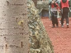 -朝阳公园真人CS