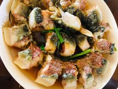 -南汇新场正宗水蜜桃采摘