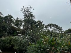 -珠海长隆海洋王国