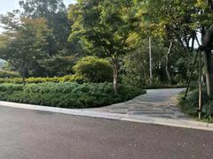 -青枫公园
