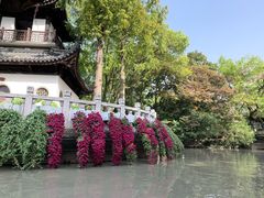 -汇龙潭