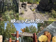 -峡谷浮石林景区