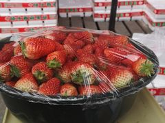 -南京众彩农副产品配送有限公司