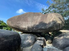 -火炉山森林公园