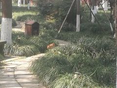 -宝光寺