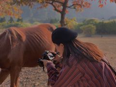 -南沙蒲洲花园
