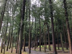 -上海月湖雕塑公园