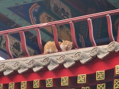 -天津市峰山药王古寺