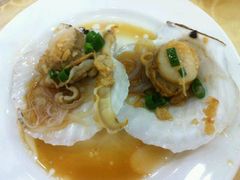 扇贝-海岛渔村大酒店(云霄路店)