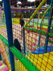 点击看大图 -维佳童话镇演出现场(徐东店)