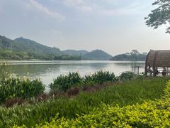 -顺峰山公园