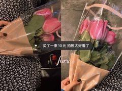 -溪岸路花鸟市场