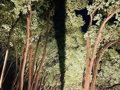 -上海市保健医疗中心