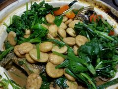 -青叶202都市餐厅(迪诺水镇店)