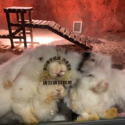 -酷嗒动物文化乐园(cutezoo西溪乐天城店)