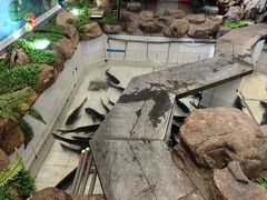 -春盛渔府(牛首山店)