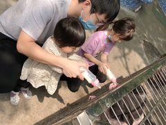 -深圳野生动物园