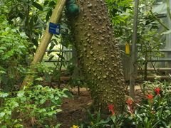 -南山植物园